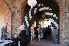 1_05-sccf-black-and-white-gala-2017